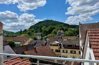 Wohnung mieten in Pfarrgasse 23, 69151 Neckargemünd, Von privat - Neubau, klimatisiert, EBK & großer Balkon - 3,5 Zi. DG im Herzen Neckargemünds