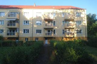 Wohnung mieten in Otto Nuschke Str., 16225 Eberswalde, Freundliche 3-Zimmer-Wohnung mit Balkon im Hochparterre