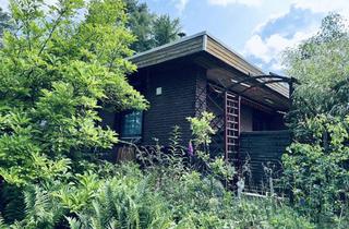 Haus kaufen in 29490 Neu Darchau, Viel Potenzial: Renovierungsbedürftiger Bungalow mit Wärmepumpe und PV-Anlage in ruhiger Lage