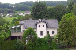 Villa kaufen in 58849 Herscheid, Fabrikantenvilla mit Einlieger auf Parkgrundstück, ideales Mehrgenerationenhaus, provisionsfrei