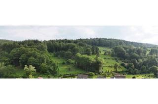 Grundstück zu kaufen in 63639 Flörsbachtal, Attraktives Baugrundstück im Flörsbachtal zu verkaufen