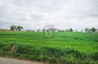 Grundstück zu kaufen in 72667 Schlaitdorf, Schlaitdorf - VIELSEITIGE FLÄCHE - INVESTIEREN MIT PERSPEKTIVE