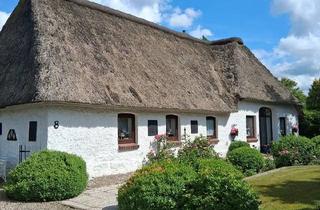 Einfamilienhaus kaufen in 24817 Tetenhusen, Tetenhusen - Preisreduzierung ! Landhaus mit Einliegerwohnung in Alleinlage