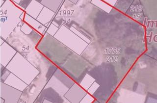 Bauernhaus kaufen in 54516 Wittlich, Wittlich - Ehem. Bauernhof mit 2 Häusern in Wittlich Wengerohr