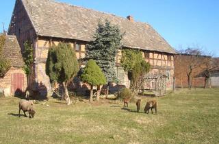 Bauernhaus kaufen in 38448 Wolfsburg, Wolfsburg - Bauernhof Resthof mit landw. Flächen MFH mit großem Grundstück