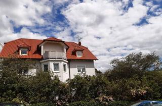 Wohnung mieten in Spitzweg 12, 97288 Theilheim, Geräumige, günstige 1-Zimmer-Wohnung in Theilheim
