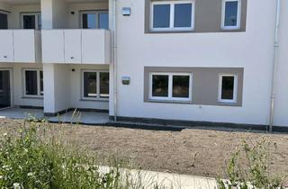Wohnung mieten in Niederfeldstraße 9A, 84088 Neufahrn, Neuwertige 1-Zimmer-Wohnung mit Balkon und EBK in Neufahrn