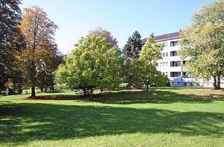 Wohnung mieten in Birkenallee 26, 34225 Baunatal, schöne helle 3-ZKB im grünen Baunatal