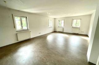 Wohnung mieten in Moosheimer Straße, 88518 Herbertingen, Ansprechende und sanierte 3,5-Raum-EG-Wohnung mit EBK in Herbertingen