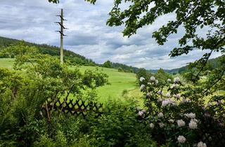 Wohnung mieten in 79822 Titisee-Neustadt, ** Schöne Erdgeschosswohnung mit Blick ins Grüne **