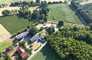 Haus kaufen in 49419 Wagenfeld, Drei Immobilien, ein Preis – vielseitiges Gebäudensemble in Wagenfeld!