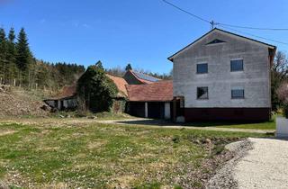 Haus kaufen in 86641 Rain, Ehem. Hofstelle mit Wiese und Gehölz, ca. 6590m² bei Rain - Ortsteil