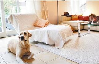 Haus kaufen in 85570 Ottenhofen, *** Gelegenheit ** Architekten-Haus in ruhiger, idyllischer Wohnlandschaft mit zwei Garagen***