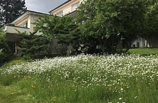 Haus mieten in Emser Weg, 65812 Bad Soden, Haus mit Charme. Beste Lage in Bad Soden, Ts.