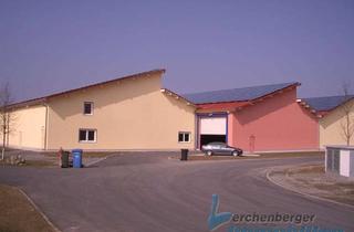 Gewerbeimmobilie mieten in 94553 Mariaposching, *** Große Lagerhalle in Loham/Mariaposching ***