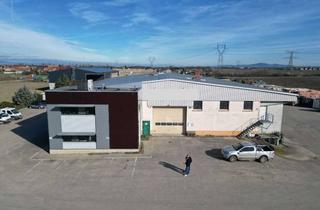 Gewerbeimmobilie mieten in Rue Des Seigneurs 25, 89614 Öpfingen, Gewerbefläche von 1.600 m² in Balgau/Fessenheim an der französischen Grenze bei Heitersheim