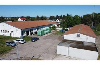 Gewerbeimmobilie kaufen in Pietzpuhler Weg 8B, 39291 Möser, Gewerbehalle mit Garagen und Monteurswohnung in Möser