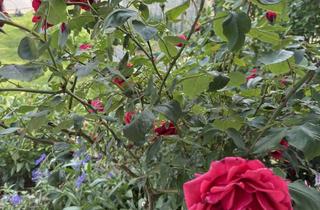 Immobilie mieten in 85235 Odelzhausen, Großzügige möblierte Gartenwhg. mit Grill-Terrasse - Ihr neues Zuhause mit gemütlicher Ausstattung