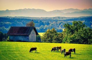 Gewerbeimmobilie kaufen in 87782 Unteregg, Ca. 1,75 ha Grünland/Wiese in Unteregg/Allgäu! (Weitere Fläche in der Nähe)