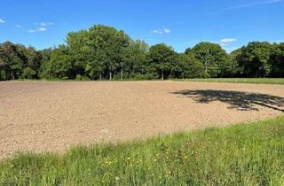 Gewerbeimmobilie kaufen in 46354 Südlohn, Verpachtete landwirtschaftliche Fläche in Südlohn