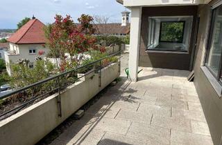 Wohnung mieten in Freudenbergstrasse, 69469 Weinheim, Frisch sanierte 4-Zimmer-Terrassenwohnung am Schlosspark