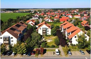 Wohnung mieten in Grochwitzer Linse 50, 04916 Herzberg, Charmante 1-Raum-Wohnung mit Tageslichtbad und gemütlicher Küche