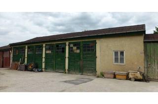 Gewerbeimmobilie mieten in Werkstraße 12, 94447 Plattling, Biergarten, Hochzeitssaal direkt zentral am Bahnhof