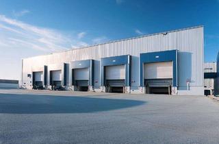 Gewerbeimmobilie mieten in 64832 Babenhausen, Lager, Logistikfläche - Provisionsfrei - Anbindung an die B26