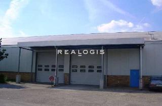 Gewerbeimmobilie mieten in 63505 Langenselbold, Lager / Logistik / Produktion - Anbindung an die A66