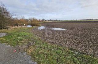 Grundstück zu kaufen in 23769 Fehmarn, Fehmarn - GROßZÜGIGE BAUFLÄCHE NAHE DER OSTSEE MIT TEICH
