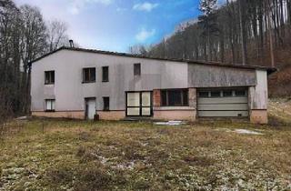 Gewerbeimmobilie kaufen in 98593 Kleinschmalkalden, Kleinschmalkalden - GEWERBEHALLE MIT VIEL GRUNDSTÜCK
