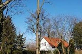 Grundstück zu kaufen in 04416 Markkleeberg, Markkleeberg - UNSCHLAGBARER PREIS FÜR IHR HAUS AM SEE
