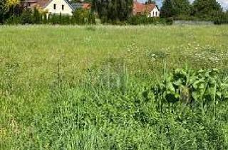 Grundstück zu kaufen in 19395 Plau, Plau am See - ZWISCHEN NATUR UND STADT IHR NEUER LEBENSRAUM