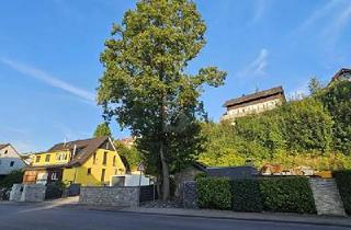 Grundstück zu kaufen in 71711 Steinheim, Steinheim an der Murr - VIELSEITIGER RAUM FÜR LEBEN UND ARBEIT IN TOP-LAGE