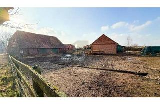 Grundstück zu kaufen in 31535 Neustadt, Neustadt am Rübenberge - BAUEN SIE IHR TRAUMHAUS