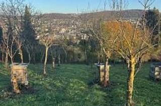 Grundstück zu kaufen in 79539 Lörrach, VIELE NUTZUNGSMÖGLICHKEITEN AM TÜLLINGER BERG