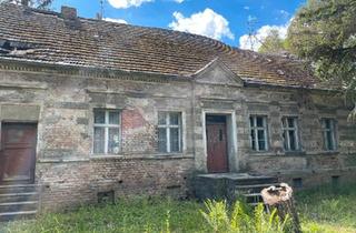 Haus kaufen in 15328 Küstriner Vorland, Küstriner Vorland - Sehr guhiges und schönes Grundstück mit Handwerkerobjekt