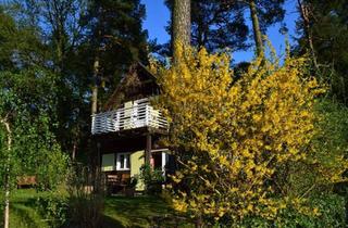 Einfamilienhaus kaufen in 14548 Schwielowsee, Schwielowsee - Idyllisches Waldgrundstück am Schwielowsee zu verkaufen
