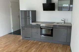 Wohnung mieten in 68519 Viernheim, Exklusive, neuwertige 1,5-Zimmer-Wohnung mit Balkon in Viernheim