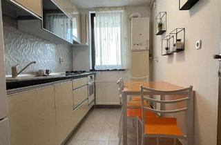 Wohnung mieten in Edwin-Naef-Weg 17, 79713 Bad Säckingen, Stilvolle, modernisierte 2-Raum-Wohnung mit Balkon und EBK in Bad Säckingen