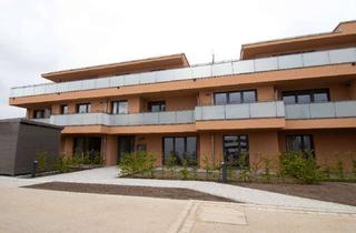 Wohnung mieten in Fanny-Hensel-Weg 19, 71069 Sindelfingen, Sindelfingen, Fanny-Hensel-Weg 19/Dachgeschoss