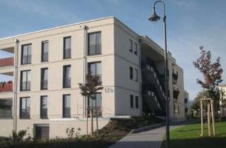 Wohnung mieten in An Der Steinmühle 12 B, 67487 Maikammer, Hochwertige 3 ZKB Wohnung mit Garten in gepflegtem Wohnpark !