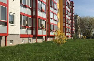 Wohnung mieten in Anna-Magdalena-Bach-Straße 21, 06712 Zeitz, Betreutes Wohnen: Barrierefreie 1-Raum.Wohnung mit verglastem XXL-Balkon und vielen Extras