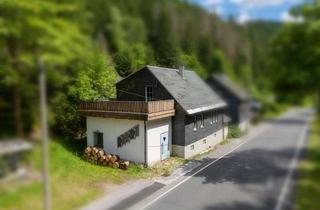 Einfamilienhaus kaufen in 98724 Steinheid, Charmantes Einfamilienhaus in naturnaher Lage im Thüringer Wald!