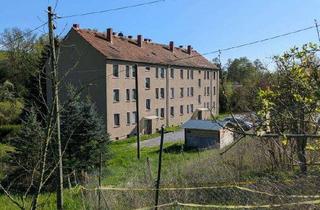 Mehrfamilienhaus kaufen in 04680 Zschadraß, Solides teilvermietetes Mehrfamilienhaus mit Entwicklungspotenzial – 12 Wohneinheiten nahe Leipzig