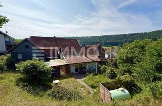 Haus kaufen in 67471 Elmstein, Zwei Generationen, Ferienhaus, Apartment Vermietung oder ein Atelier!
