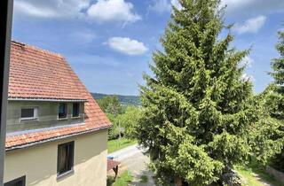 Mehrfamilienhaus kaufen in 01855 Sebnitz, Mehrfamilienhaus mit 16 % Mietertrag in Sebnitz