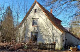 Einfamilienhaus kaufen in 37574 Kreiensen, Einfamilienhaus in ruhiger Lage als Totalsanierungsfall