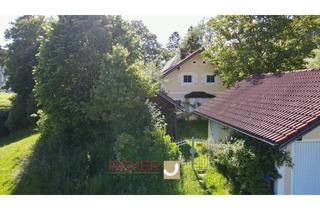 Einfamilienhaus kaufen in 87534 Oberstaufen, Privatsphäre pur - Einfamilienhaus in Alleinlage bei Oberstaufen