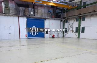 Gewerbeimmobilie mieten in 78187 Geisingen, Großzügige Gewerbehalle ebenerdig mit Rolltor in attraktiven Gewerbeareal